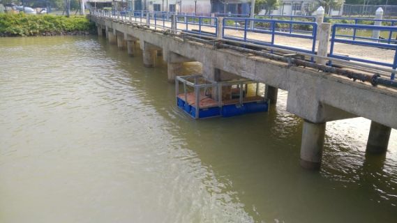 Marine Structures & Engineering by Euro Energy: jetty walkway
