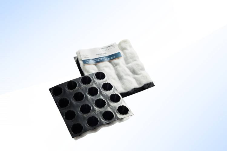 Geo-Composite Drainage Board