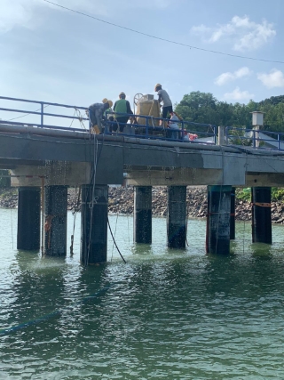 Marine Engineering Project 45